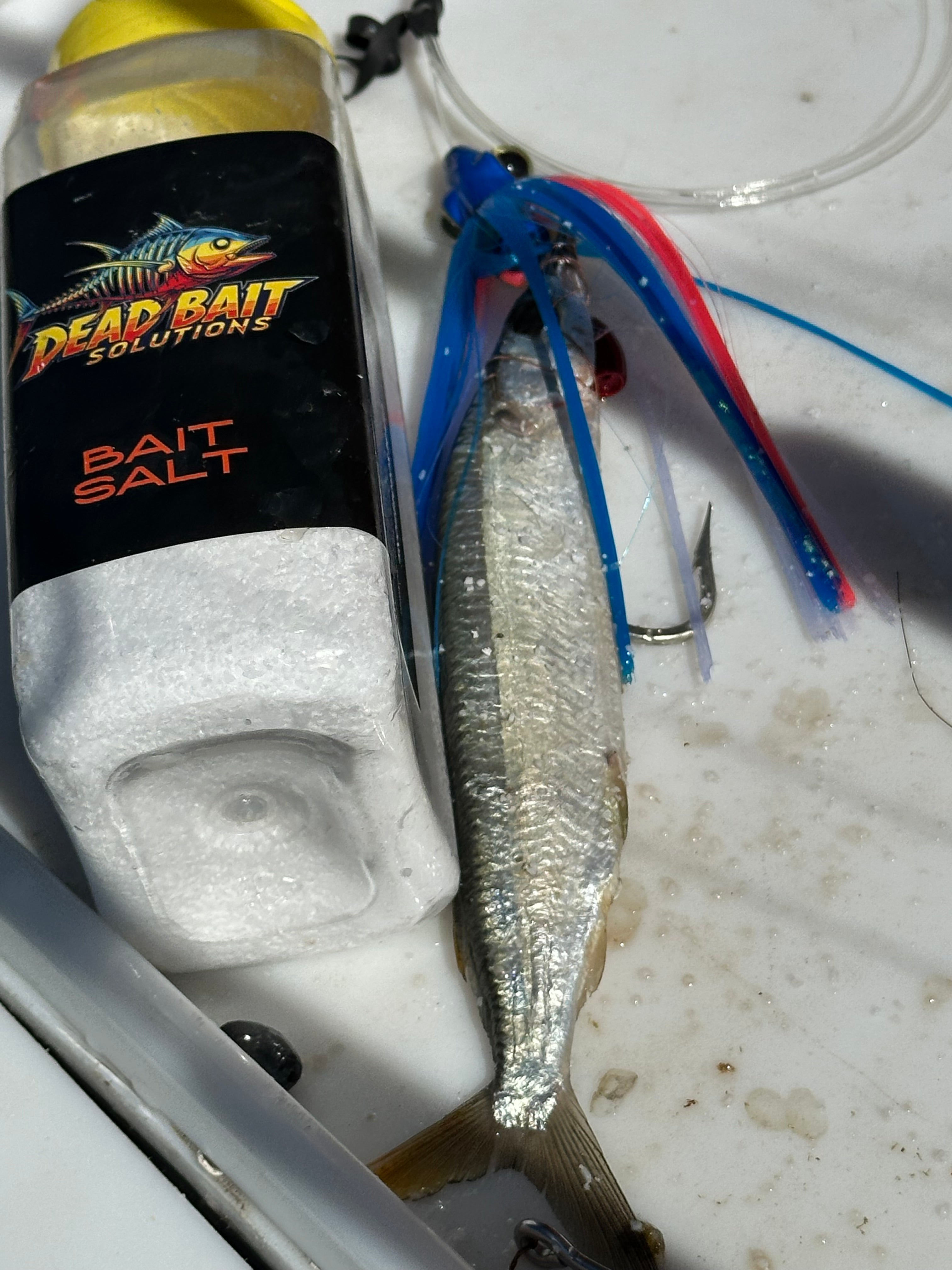 Partners Trolling Lures