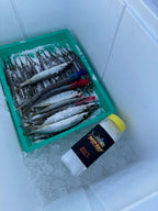 Tray of fish in a container with a bottle of salt on a tiled floor